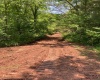 TBD Weirlong Road, Clendenin, West Virginia 25045, ,Lots/land,For Sale,Weirlong,10160088