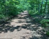 TBD Weirlong Road, Clendenin, West Virginia 25045, ,Lots/land,For Sale,Weirlong,10160088