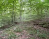 TBD Weirlong Road, Clendenin, West Virginia 25045, ,Lots/land,For Sale,Weirlong,10160088