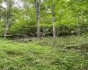 TBD Weirlong Road, Clendenin, West Virginia 25045, ,Lots/land,For Sale,Weirlong,10160088