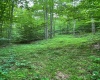 TBD Weirlong Road, Clendenin, West Virginia 25045, ,Lots/land,For Sale,Weirlong,10160088