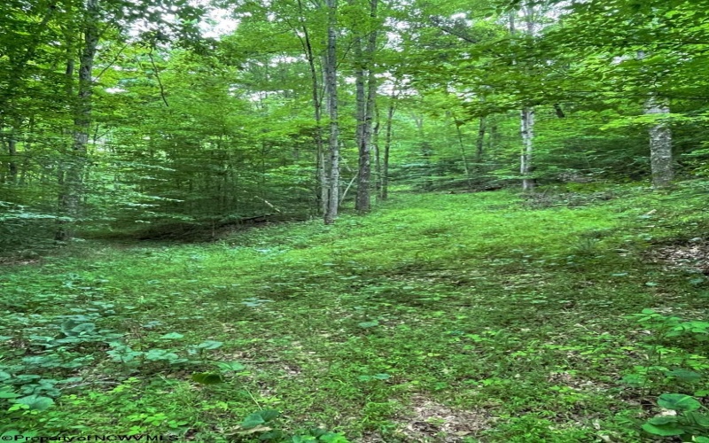 TBD Weirlong Road, Clendenin, West Virginia 25045, ,Lots/land,For Sale,Weirlong,10160088