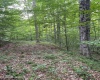 TBD Weirlong Road, Clendenin, West Virginia 25045, ,Lots/land,For Sale,Weirlong,10160088