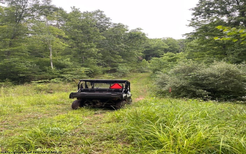 TBD Weirlong Road, Clendenin, West Virginia 25045, ,Lots/land,For Sale,Weirlong,10160088