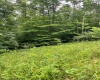 TBD Weirlong Road, Clendenin, West Virginia 25045, ,Lots/land,For Sale,Weirlong,10160088