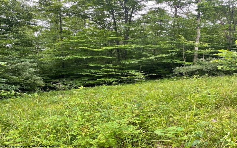 TBD Weirlong Road, Clendenin, West Virginia 25045, ,Lots/land,For Sale,Weirlong,10160088