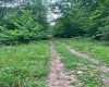 TBD Weirlong Road, Clendenin, West Virginia 25045, ,Lots/land,For Sale,Weirlong,10160088