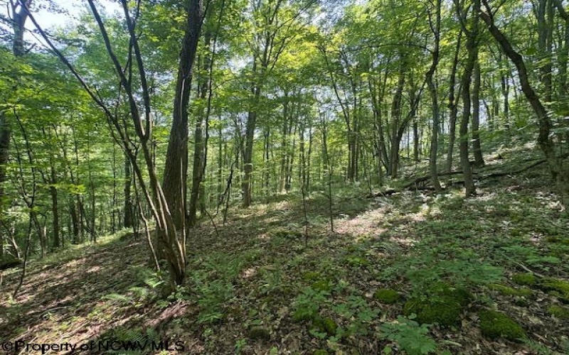 TBD Iron Town Road, Independence, West Virginia 26374, ,Lots/land,For Sale,Iron Town,10160083