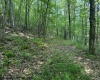 TBD Iron Town Road, Independence, West Virginia 26374, ,Lots/land,For Sale,Iron Town,10160083