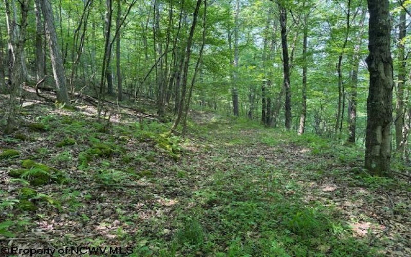 TBD Iron Town Road, Independence, West Virginia 26374, ,Lots/land,For Sale,Iron Town,10160083
