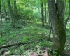 TBD Iron Town Road, Independence, West Virginia 26374, ,Lots/land,For Sale,Iron Town,10160083