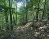 TBD Iron Town Road, Independence, West Virginia 26374, ,Lots/land,For Sale,Iron Town,10160083