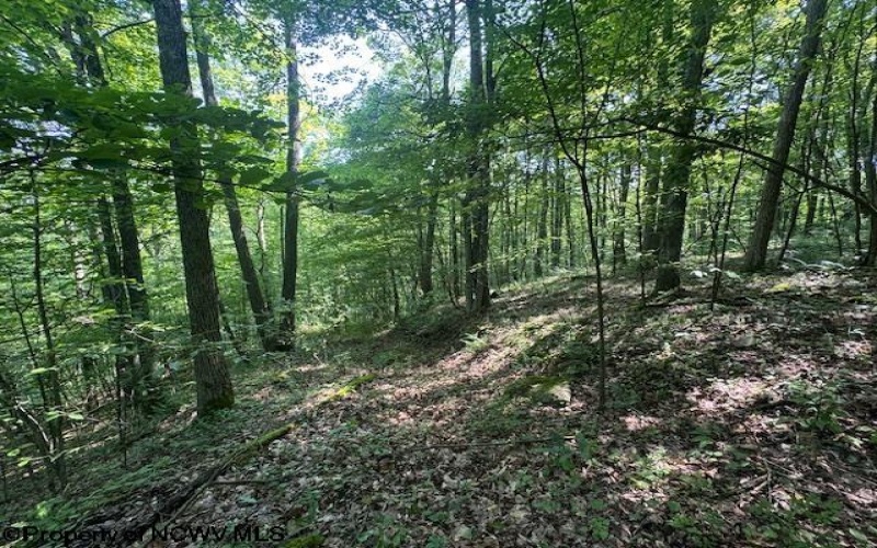 TBD Iron Town Road, Independence, West Virginia 26374, ,Lots/land,For Sale,Iron Town,10160083