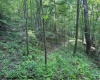 TBD Iron Town Road, Independence, West Virginia 26374, ,Lots/land,For Sale,Iron Town,10160083