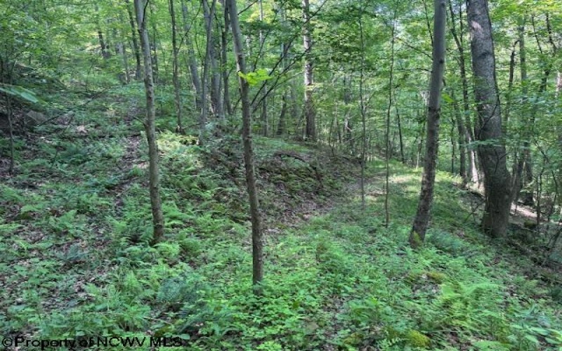 TBD Iron Town Road, Independence, West Virginia 26374, ,Lots/land,For Sale,Iron Town,10160083