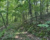 TBD Iron Town Road, Independence, West Virginia 26374, ,Lots/land,For Sale,Iron Town,10160083