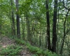 TBD Iron Town Road, Independence, West Virginia 26374, ,Lots/land,For Sale,Iron Town,10160083