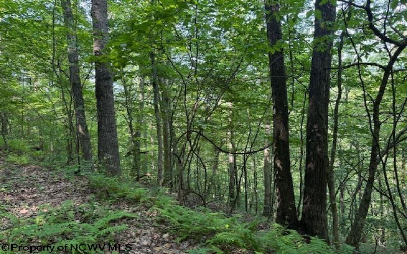 TBD Iron Town Road, Independence, West Virginia 26374, ,Lots/land,For Sale,Iron Town,10160083