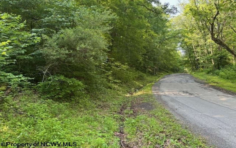 TBD Iron Town Road, Independence, West Virginia 26374, ,Lots/land,For Sale,Iron Town,10160083
