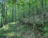 TBD Iron Town Road, Independence, West Virginia 26374, ,Lots/land,For Sale,Iron Town,10160083