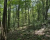 TBD Iron Town Road, Independence, West Virginia 26374, ,Lots/land,For Sale,Iron Town,10160083