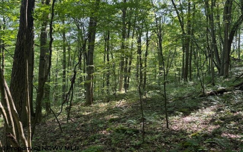TBD Iron Town Road, Independence, West Virginia 26374, ,Lots/land,For Sale,Iron Town,10160083