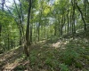 TBD Iron Town Road, Independence, West Virginia 26374, ,Lots/land,For Sale,Iron Town,10160083