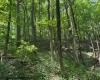 TBD Iron Town Road, Independence, West Virginia 26374, ,Lots/land,For Sale,Iron Town,10160083