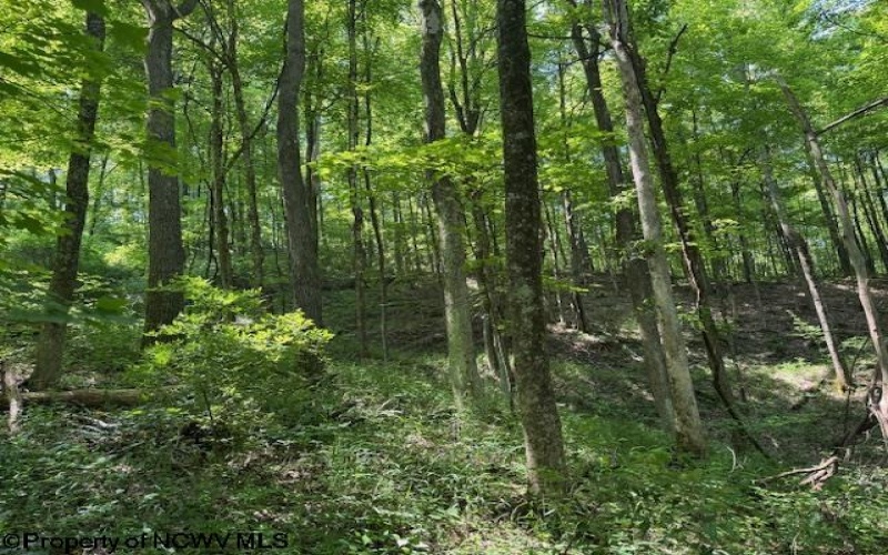 TBD Iron Town Road, Independence, West Virginia 26374, ,Lots/land,For Sale,Iron Town,10160083