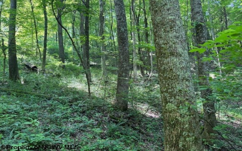TBD Iron Town Road, Independence, West Virginia 26374, ,Lots/land,For Sale,Iron Town,10160083