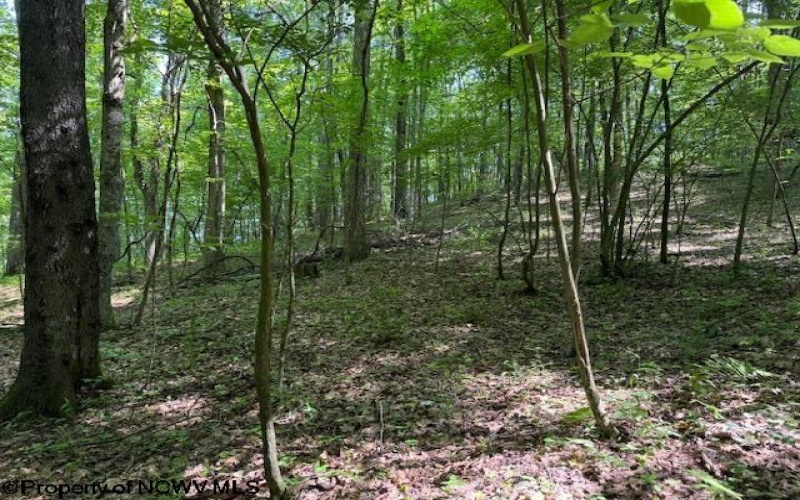 TBD Iron Town Road, Independence, West Virginia 26374, ,Lots/land,For Sale,Iron Town,10160083