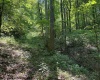 TBD Iron Town Road, Independence, West Virginia 26374, ,Lots/land,For Sale,Iron Town,10160083
