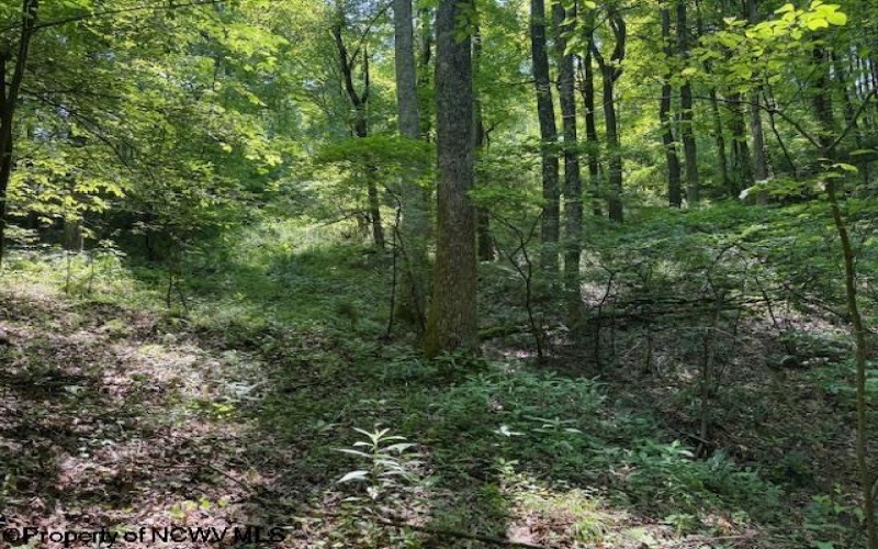 TBD Iron Town Road, Independence, West Virginia 26374, ,Lots/land,For Sale,Iron Town,10160083