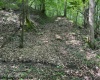 TBD Iron Town Road, Independence, West Virginia 26374, ,Lots/land,For Sale,Iron Town,10160083