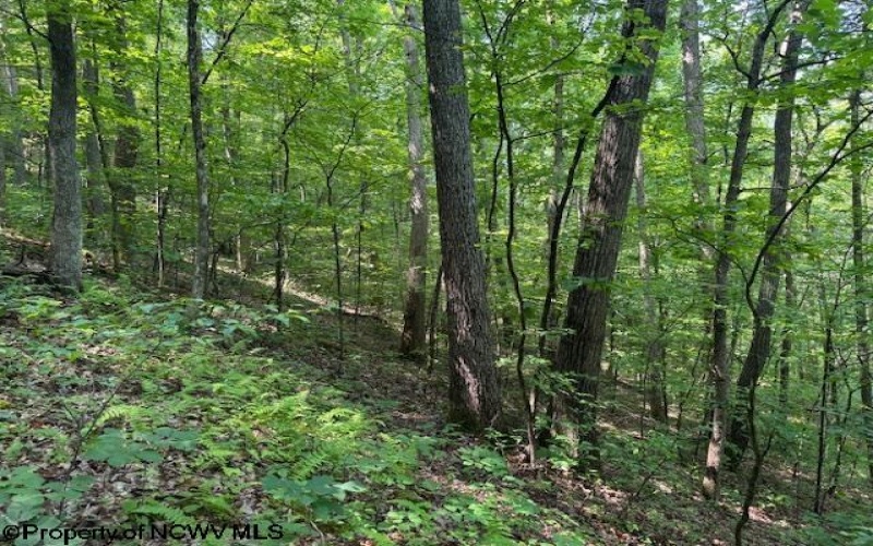 TBD Iron Town Road, Independence, West Virginia 26374, ,Lots/land,For Sale,Iron Town,10160083