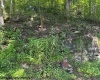 TBD Iron Town Road, Independence, West Virginia 26374, ,Lots/land,For Sale,Iron Town,10160083