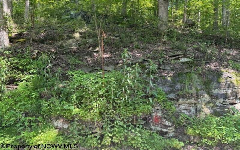 TBD Iron Town Road, Independence, West Virginia 26374, ,Lots/land,For Sale,Iron Town,10160083