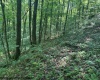 TBD Iron Town Road, Independence, West Virginia 26374, ,Lots/land,For Sale,Iron Town,10160083