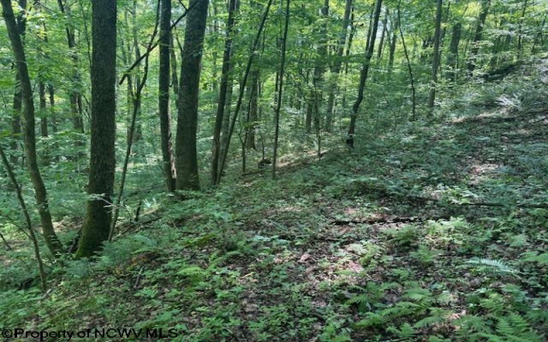 TBD Iron Town Road, Independence, West Virginia 26374, ,Lots/land,For Sale,Iron Town,10160083