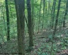 TBD Iron Town Road, Independence, West Virginia 26374, ,Lots/land,For Sale,Iron Town,10160083