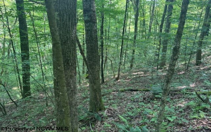 TBD Iron Town Road, Independence, West Virginia 26374, ,Lots/land,For Sale,Iron Town,10160083