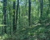 TBD Iron Town Road, Independence, West Virginia 26374, ,Lots/land,For Sale,Iron Town,10160083
