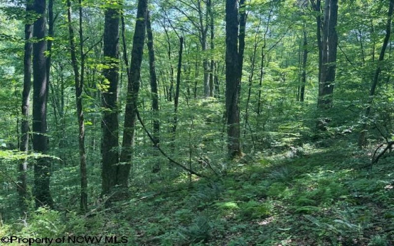 TBD Iron Town Road, Independence, West Virginia 26374, ,Lots/land,For Sale,Iron Town,10160083