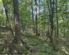 TBD Iron Town Road, Independence, West Virginia 26374, ,Lots/land,For Sale,Iron Town,10160083
