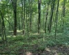TBD Iron Town Road, Independence, West Virginia 26374, ,Lots/land,For Sale,Iron Town,10160083