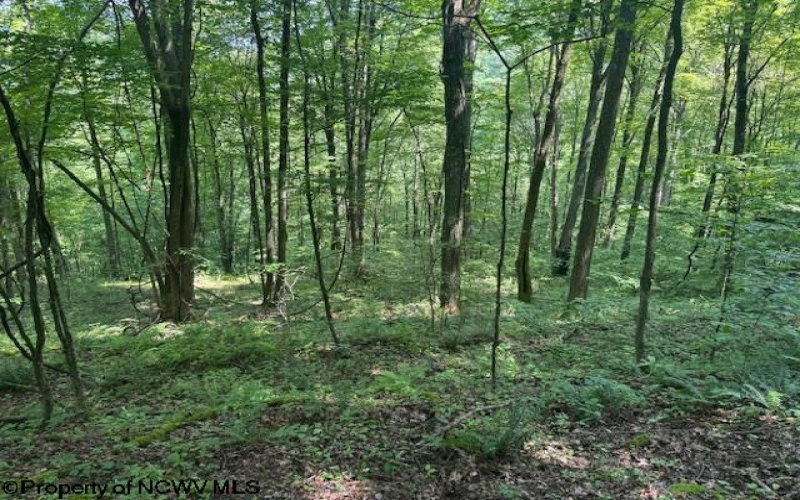TBD Iron Town Road, Independence, West Virginia 26374, ,Lots/land,For Sale,Iron Town,10160083