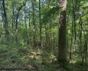 TBD Iron Town Road, Independence, West Virginia 26374, ,Lots/land,For Sale,Iron Town,10160083