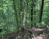 TBD Iron Town Road, Independence, West Virginia 26374, ,Lots/land,For Sale,Iron Town,10160083