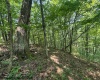 TBD Iron Town Road, Independence, West Virginia 26374, ,Lots/land,For Sale,Iron Town,10160083