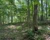TBD Iron Town Road, Independence, West Virginia 26374, ,Lots/land,For Sale,Iron Town,10160083